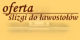 Oferta - prowadnice do �awosto�&oacute;w (grafika 8KB)