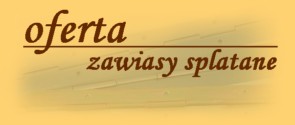 Oferta - zawiasy splatane (grafika 7,3KB)