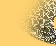 zawiasy, dr��ki, szyny